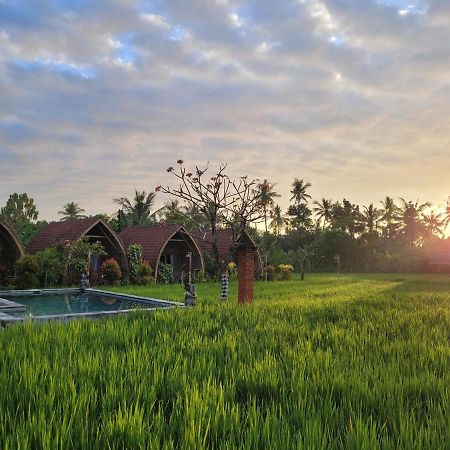 Hotel Umma Bali Menjangan Retreat Banyuwedang Exterior foto