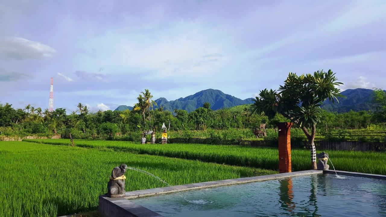 Hotel Umma Bali Menjangan Retreat Banyuwedang Exterior foto