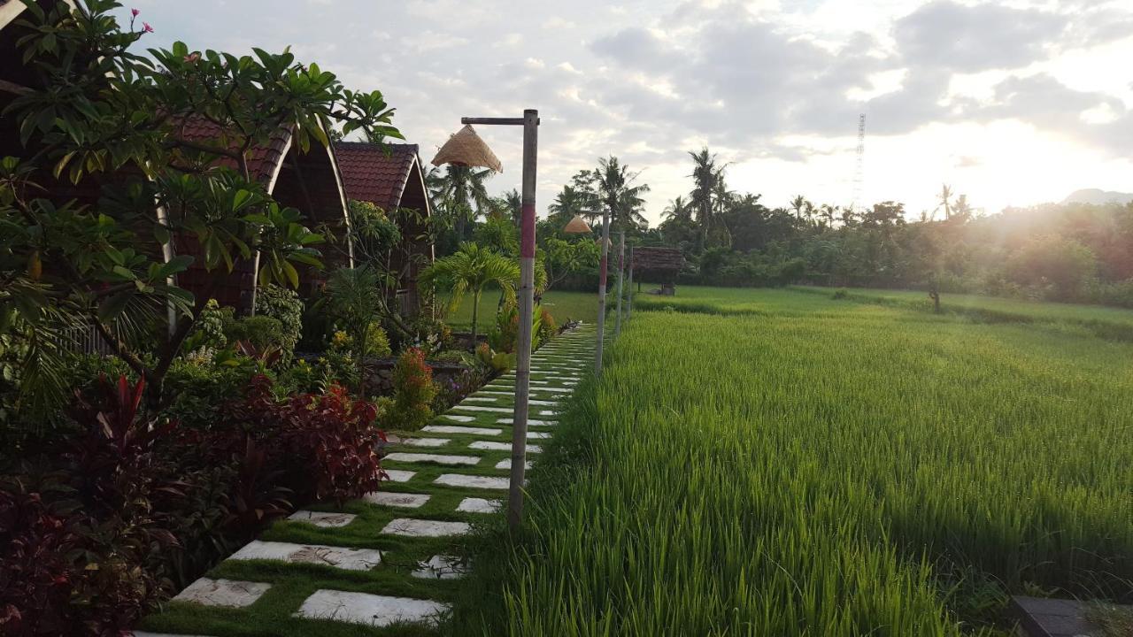 Hotel Umma Bali Menjangan Retreat Banyuwedang Exterior foto
