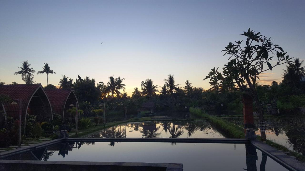 Hotel Umma Bali Menjangan Retreat Banyuwedang Exterior foto